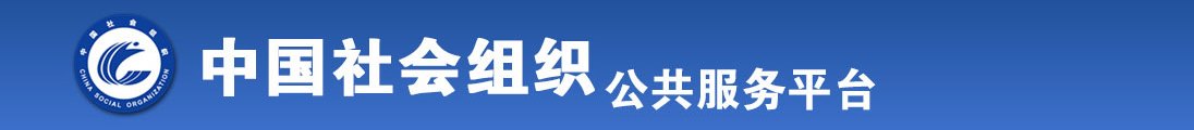 淦逼视频网站全国社会组织信息查询